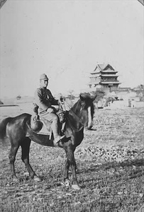 三田市下相野（平野集落）古写真
