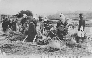 三田市下相野（平野集落）古写真