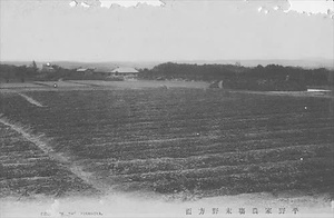 三田市下相野（平野集落）古写真