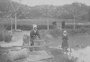 三田市下相野（平野集落）古写真