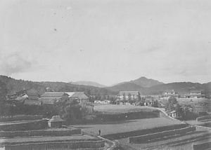 三田市下相野（平野集落）古写真