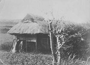 三田市下相野（平野集落）古写真