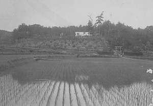 三田市下相野（平野集落）古写真