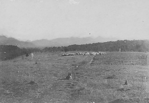三田市下相野（平野集落）古写真