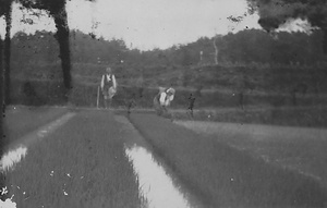 三田市下相野（平野集落）古写真