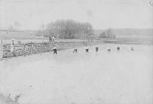 三田市下相野（平野集落）古写真