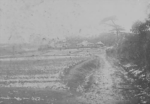 三田市下相野（平野集落）古写真