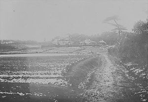 三田市下相野（平野集落）古写真