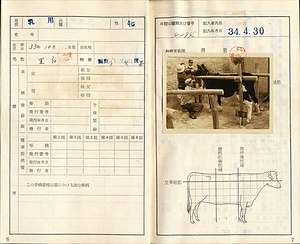 三田市下相野（平野集落）古写真