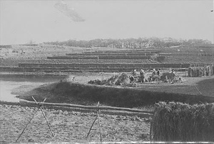 三田市下相野（平野集落）古写真