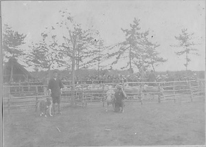 三田市下相野（平野集落）古写真