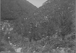 三田市下相野（平野集落）古写真