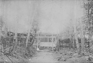 三田市下相野（平野集落）古写真