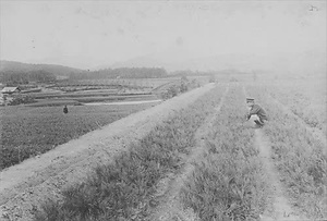 三田市下相野（平野集落）古写真