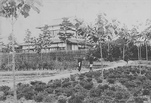 三田市下相野（平野集落）古写真