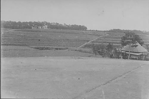 三田市下相野（平野集落）古写真