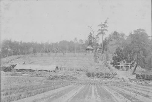 三田市下相野（平野集落）古写真