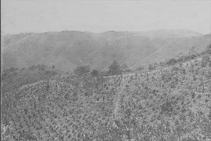 三田市下相野（平野集落）古写真