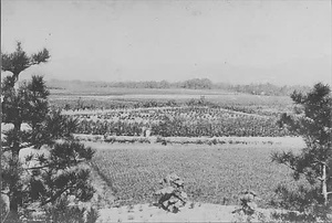 三田市下相野（平野集落）古写真