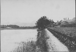 三田市下相野（平野集落）古写真