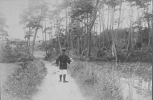 三田市下相野（平野集落）古写真