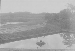 三田市下相野（平野集落）古写真