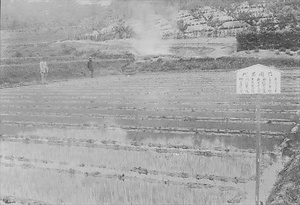 三田市下相野（平野集落）古写真