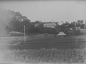 三田市下相野（平野集落）古写真