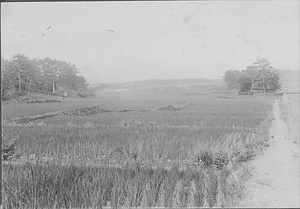 三田市下相野（平野集落）古写真