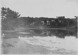 三田市下相野（平野集落）古写真