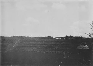 三田市下相野（平野集落）古写真