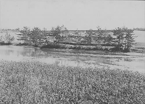 三田市下相野（平野集落）古写真