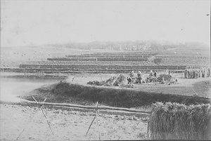 三田市下相野（平野集落）古写真