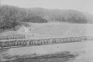 三田市下相野（平野集落）古写真
