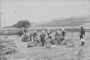 三田市下相野（平野集落）古写真