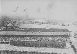 三田市下相野（平野集落）古写真