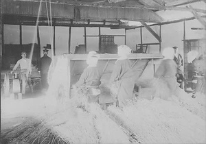 三田市下相野（平野集落）古写真