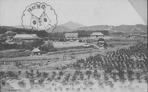 三田市下相野（平野集落）古写真