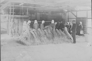 三田市下相野（平野集落）古写真