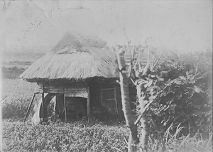 三田市下相野（平野集落）古写真