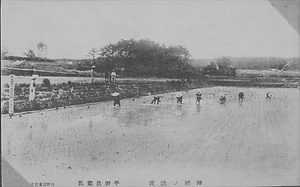 三田市下相野（平野集落）古写真