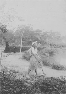 三田市下相野（平野集落）古写真