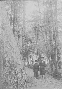 三田市下相野（平野集落）古写真