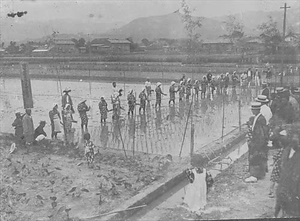 三田市下相野（平野集落）古写真