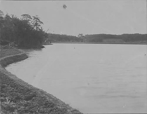 三田市下相野（平野集落）古写真