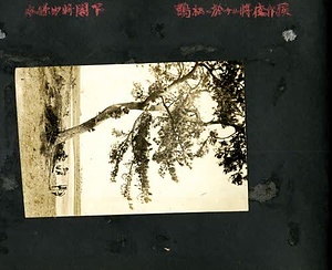 古写真　在営記念写真帖