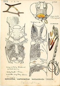 岩田久二雄フィールドノート