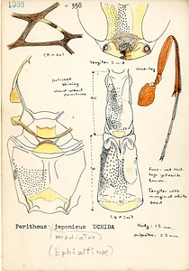 岩田久二雄フィールドノート