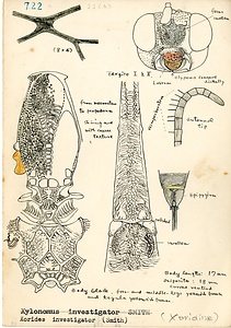 岩田久二雄フィールドノート