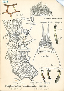 岩田久二雄フィールドノート
